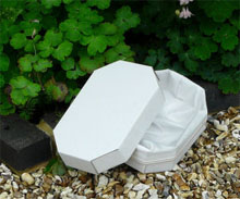 Biodegradable Pet Coffins