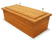 Cat Coffins